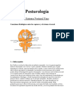 Posturología-Conexiones Entre Los Captores y Las Vísceras