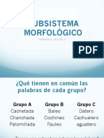 Subsistema Morfológico