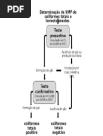 Fluxograma NMP
