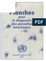 Planche Pour Le Diagnostic Des Parasites Intestinaux - Fre