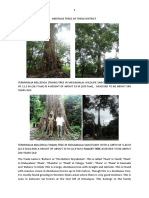 Heritage Trees of Theni District PDF