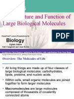 The Structure and Function of Large Biological Molecules: Biology