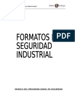 Formatos de Seguridad Industrial