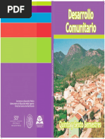 Desarrollo Comunitario V y VI