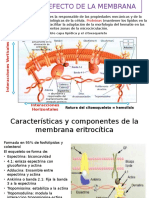 Ahc Por Defecto de La Membrana