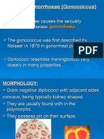 Neisseria Gonorrhoeae