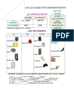 Les Vtements Les Dmonstratifs