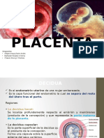 Placenta