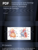 Corazon Diapositiva