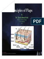 Flaps PDF