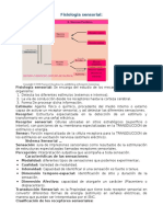 Fisiologia Sensorial