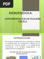 Experimentacion en Pequeña Escala