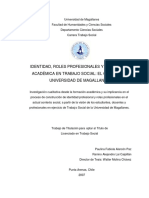 Rol Del Trabajador Social en Chile