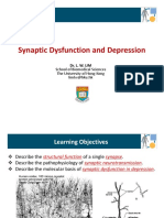 BBMS3011 Synaptic Dysfunction and Depression