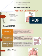 Tracto Respiratorio Inferior
