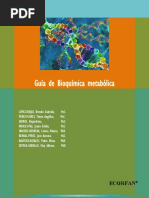 Guia de Bioquimica Metabolica Aminiácidos