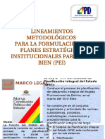 Lineamientos Metodologicos Pei