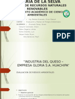 Analisis de Riesgo Industria Queso Gloria S.A.