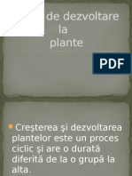 Ciclul de Dezvoltare Plante