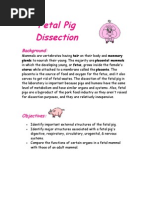 Fetal Pig Dissection