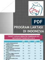 Program Laktasi Di Indonesia