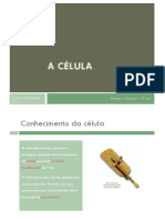 Celula PDF