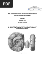 BIG X Paleontology PDF