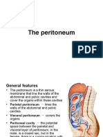 Anatomy of Peritoneum