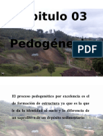 03 Pedogenesis