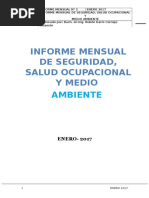 Informe Mensual Enero