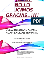 Del Aprendizaje Animal Al Aprendizaje Humano