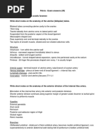 Pelvis Anatomy Answers