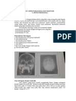 Ketikan Radiologi Sinus