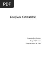 European Commission: Georgescu Petru Bogdan Group 964, C Series European Union Law Class