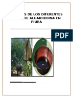 Analisis de Los Diferentes Tipos de Algarrobina en Piura