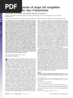 Common Mechanisms of Target Cell Recognition and Immunity For Class II Bacteriocins