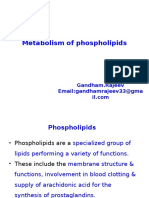 Metabolism of Phospholipids: Gandham - Rajeev Email:gandhamrajeev33@gma