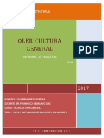 Olericultura - Practica