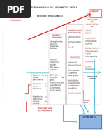 Historia Natural de La Diabetes Tipo 2