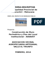 Memoria Descriptiva Perfil Valle El Triunfo