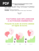 Fatores Que Influenciam A Atividade Enzimatica