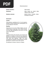 F.T. 6 Abies Hickelii