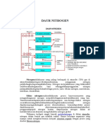 Daur Nitrogen