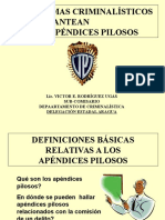 Apéndices Pilosos