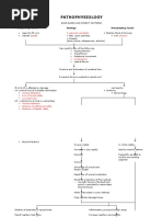 Pathophysiology: Predisposing Factor Etiology Precipitating Factor