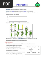 Inheritance: Inheritance Genetics Mendel Pea Plants