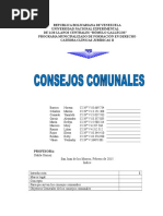 Consejos Comunales Trabajo Final