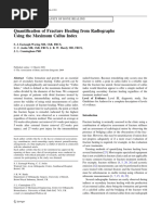 Quantification of Fracture Healing From Radiographs Using The Maximum Callus Index