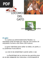 Locomocion Del Gato