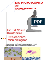 Preparaciones Microbiologicas